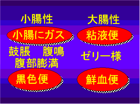 三鷹獣医科グループ・消化器の専門医療（外来）と犬猫の嘔吐と下痢について