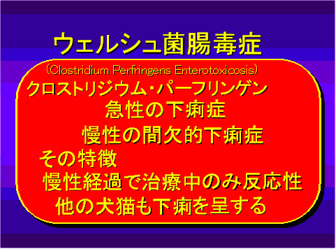 三鷹獣医科グループ・消化器の専門医療（外来）と犬猫の嘔吐と下痢について