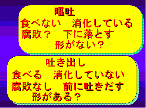 三鷹獣医科グループ・消化器の専門医療（外来）と犬猫の嘔吐と下痢について