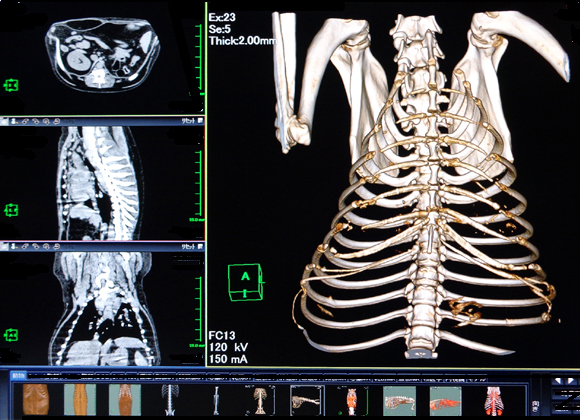 武蔵野動物・CTセンター