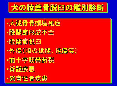 犬の膝蓋骨脱臼