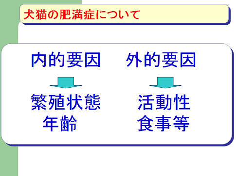 L̔얞ǂɂ