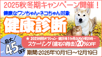 2025NH~NffLy[