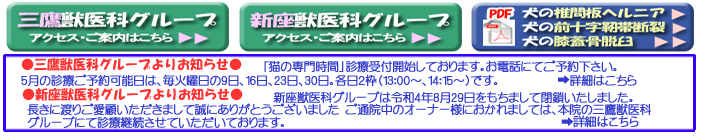 ObȃO[vANZXAVbȃO[vANZXA̒ŊԔwjAPDF_E[h