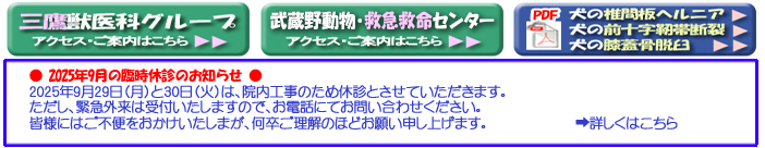 ObȃO[vANZXA쓮E~}~Z^[ANZXA̒ŊԔwjAPDF_E[hAm点