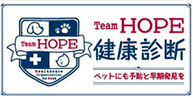 TeamHOPENff