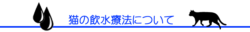 猫の飲水療法／三鷹獣医科グループ