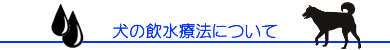 犬の飲水療法／三鷹獣医科グループ