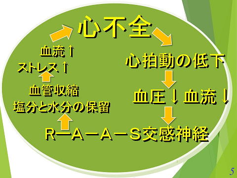 三鷹獣医科グループ・急性心不全における救急救命医療の実際