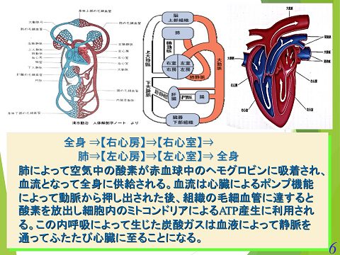 三鷹獣医科グループ・急性心不全における救急救命医療の実際