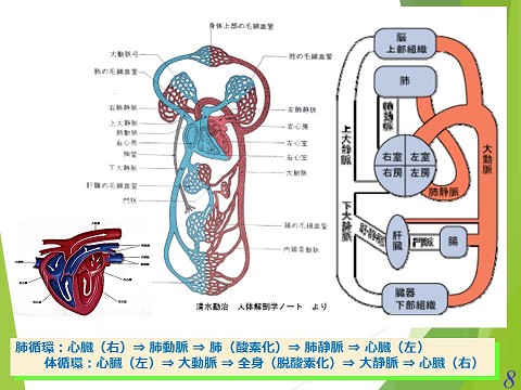 三鷹獣医科グループ・急性心不全における救急救命医療の実際