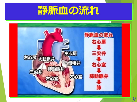 三鷹獣医科グループ・急性心不全における救急救命医療の実際