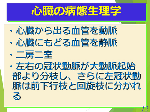 三鷹獣医科グループ・急性心不全における救急救命医療の実際