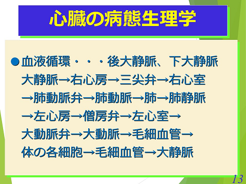 三鷹獣医科グループ・急性心不全における救急救命医療の実際