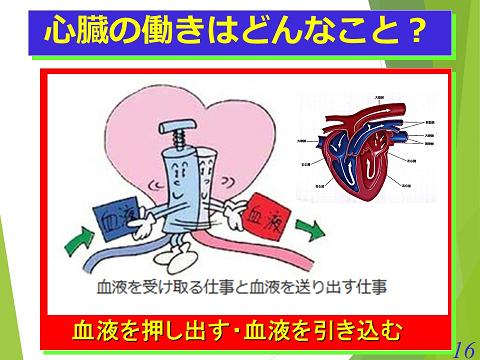 三鷹獣医科グループ・急性心不全における救急救命医療の実際