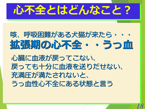 三鷹獣医科グループ・急性心不全における救急救命医療の実際