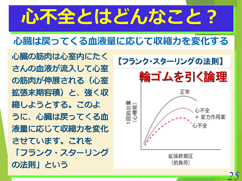 三鷹獣医科グループ・急性心不全における救急救命医療の実際