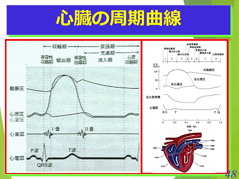 三鷹獣医科グループ・急性心不全における救急救命医療の実際