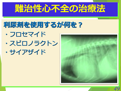 三鷹獣医科グループ・急性心不全における救急救命医療の実際