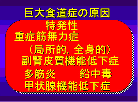 三鷹獣医科グループ・消化器の専門医療（外来）と犬猫の嘔吐と下痢について