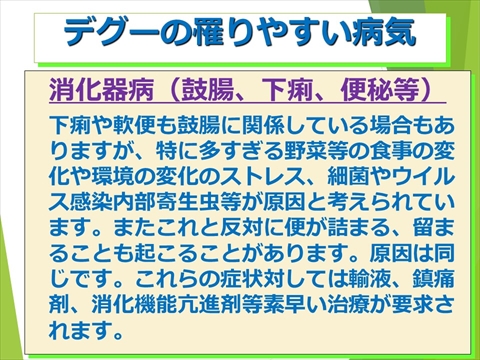 三鷹獣医科グループ・デグーの飼い方と病気