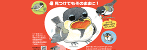 野鳥の子育て