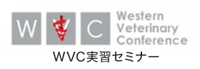 WVC実習セミナー