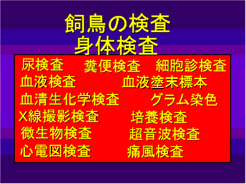 飼鳥の検査 身体検査