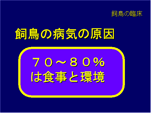飼鳥の病気の原因