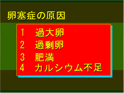 卵塞症の原因01