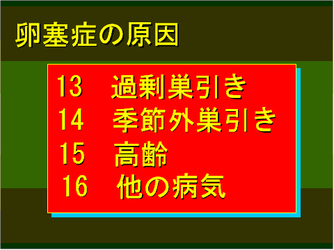 卵塞症の原因04