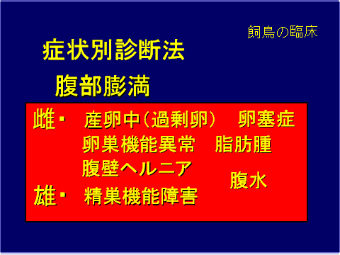 症状別診断方 腹部膨満