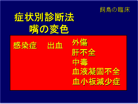 症状別診断方 嘴の変色