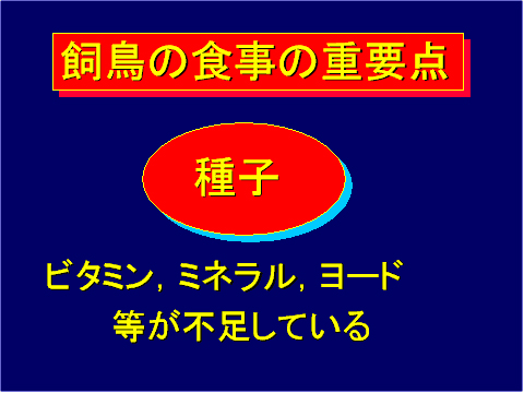 飼鳥の食事の重要点01
