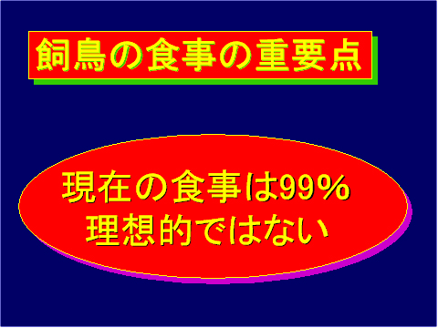 飼鳥の食事の重要点02