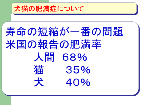 犬猫の肥満症について01