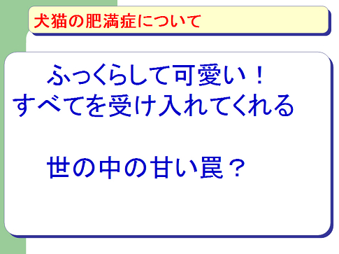 犬猫の肥満症について08