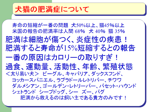 犬猫の肥満症について02