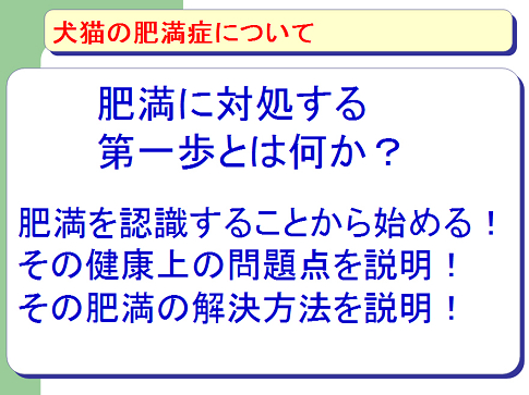 犬猫の肥満症について03