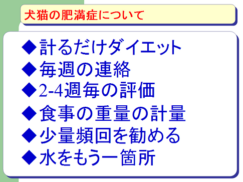 犬猫の肥満症について04