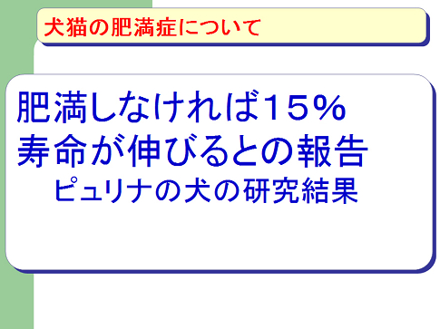犬猫の肥満症について05