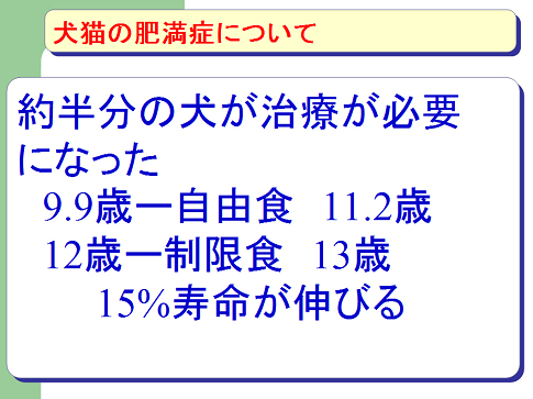 犬猫の肥満症について06