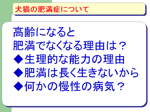 犬猫の肥満症について07