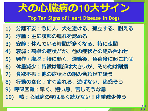 三鷹獣医科グループ・犬の心臓病の10大サイン