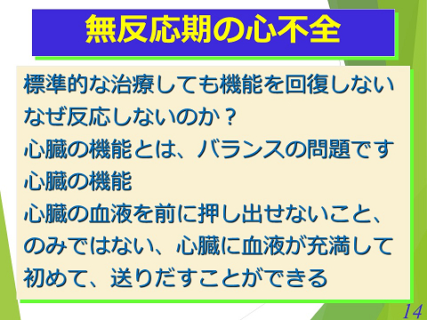 三鷹獣医科グループ・無反応期の心不全