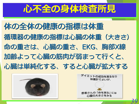 三鷹獣医科グループ・心不全の身体検査所見