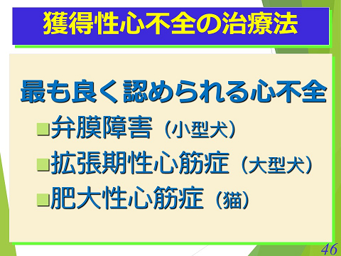 三鷹獣医科グループ・獲得性心不全の治療法01