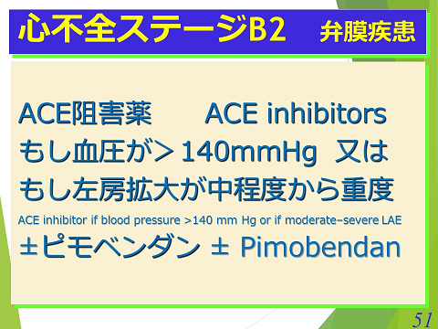 三鷹獣医科グループ・心不全ステージB2　弁膜疾患
