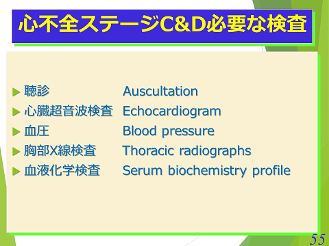 三鷹獣医科グループ・心不全ステージC&D　必要な検査