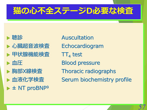 三鷹獣医科グループ・猫の心不全ステージD　必要な検査